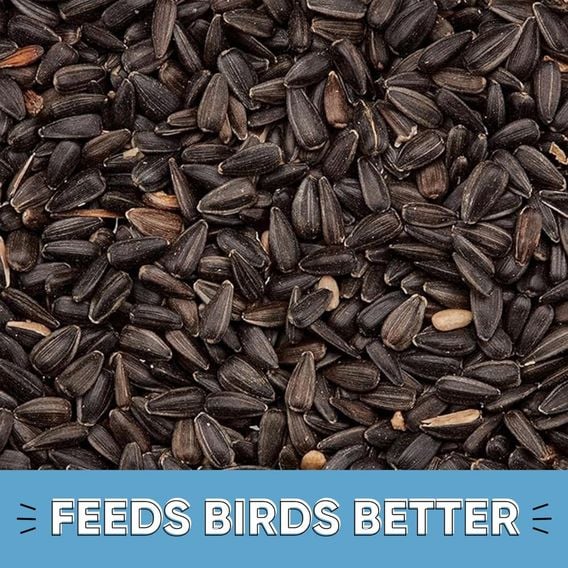 Happy Beaks - Black Sunflower Seeds